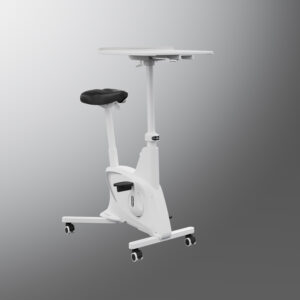 Bicicleta WORKUP