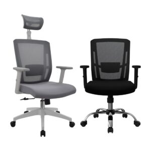 Silla Delphi II Presidente