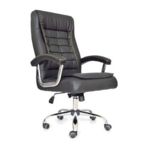 Silla Shinny